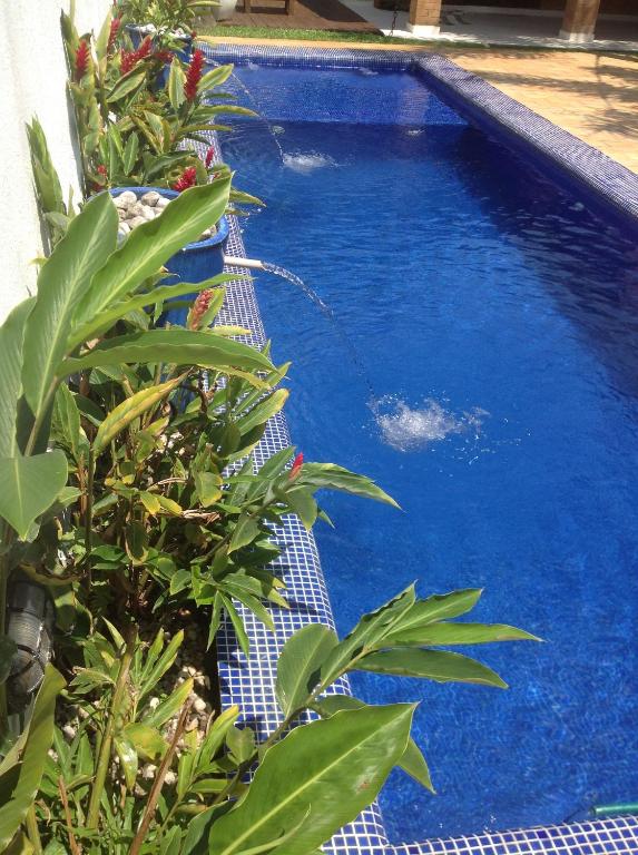 Alba House- 4 suítes com piscina privada! room 2